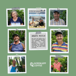 Alternative view of Argote Mezcla