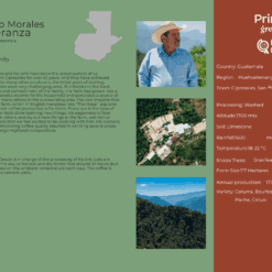 Alternative view of La Esperanza